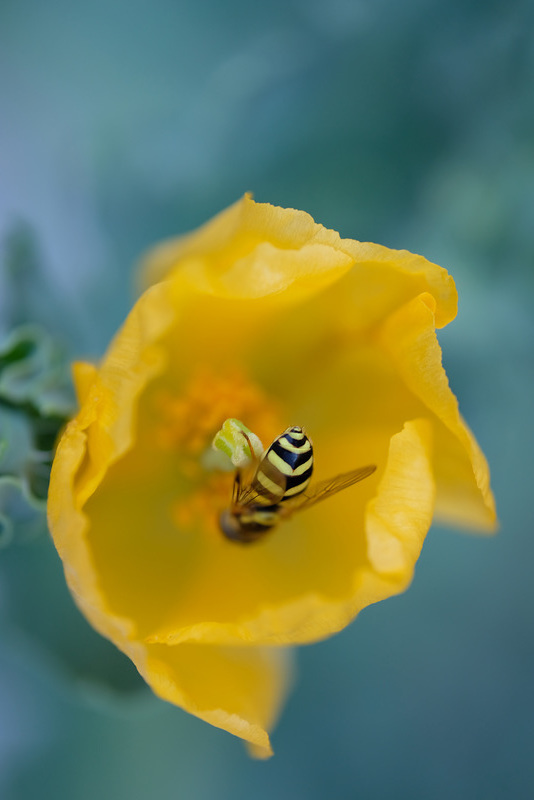 DSCF7574