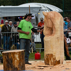 The Carrbridge World Chainsaw Carving Championship 2018