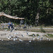 20140911 5211VRAw [NL] Möwen, Enten, Skulptur, Terschelling