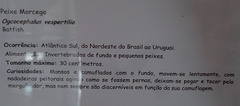 DSC07066