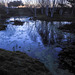 Pond as mirror of the last of the day