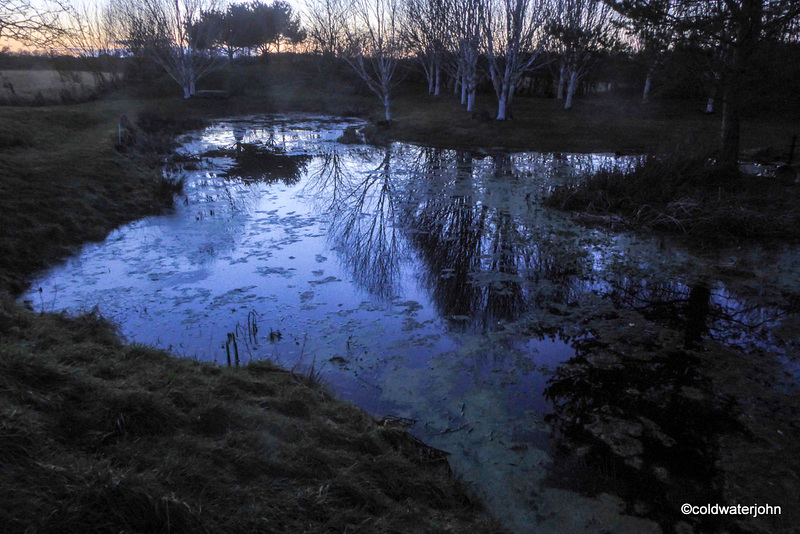 Pond as mirror of the last of the day