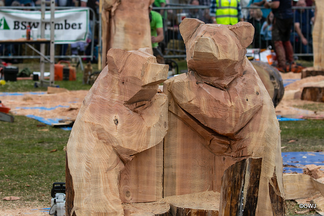 The Carrbridge World Chainsaw Carving Championship 2018