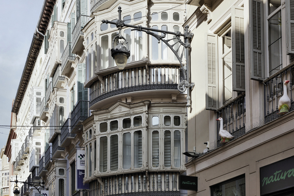 Natura Ducks – Calle Nueva, Málaga, Andalucía, Spain