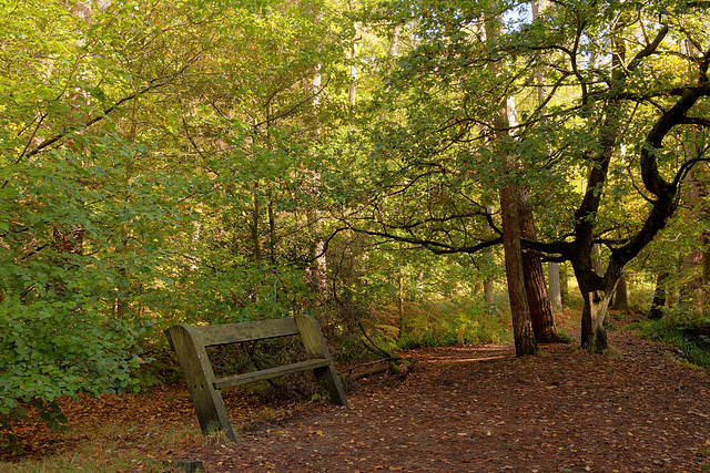 HBM -  Hardcastle Crags seat