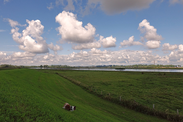 Angelo op de dijk