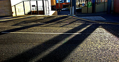 Lines and Light