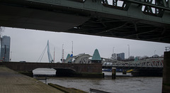 Rotterdam Queen's Bridge (#1200)