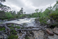 Glen Affric