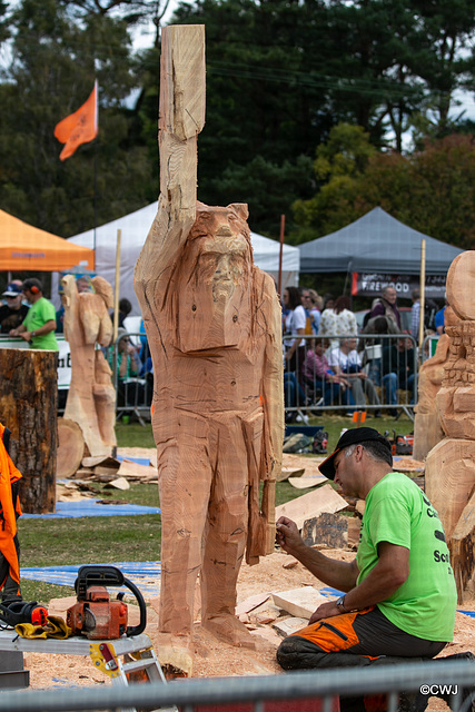 The Carrbridge World Chainsaw Carving Championship 2018