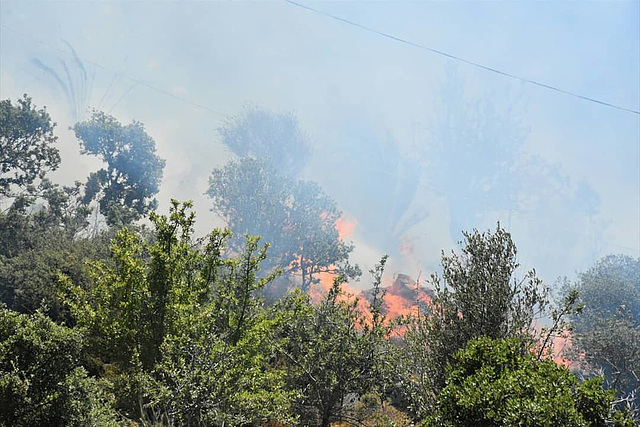 Terrible fire on the outskirts of Yashi