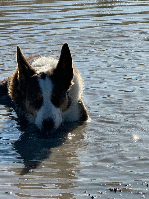 Reba cooling off.