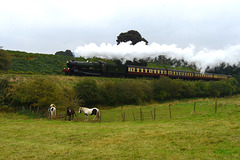 Three horses in Eardington Field