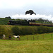 Three horses in Eardington Field