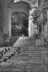 Waiting on the steps