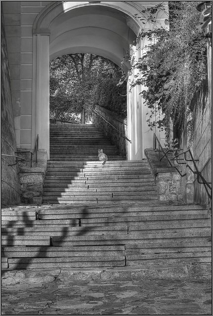 Waiting on the steps