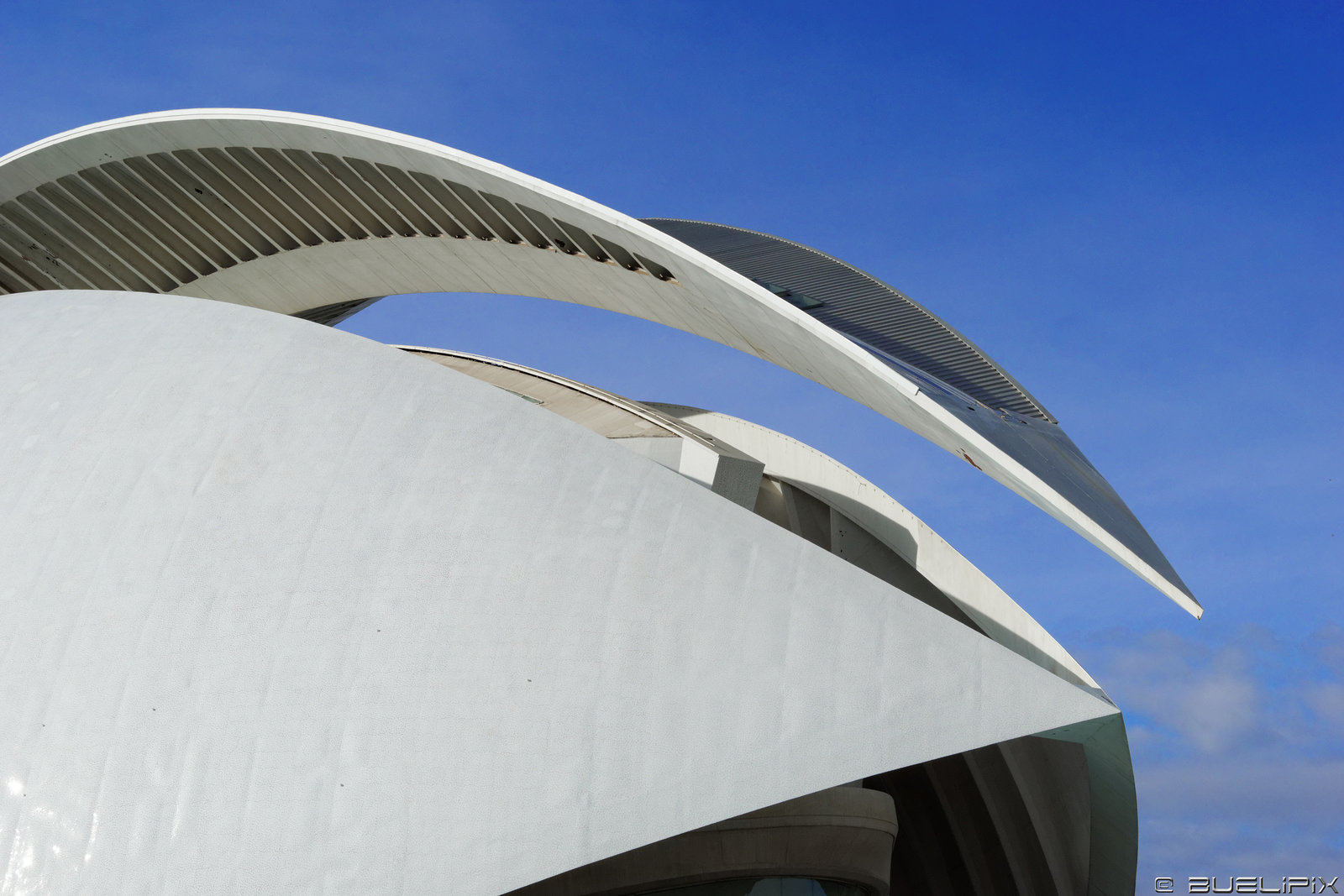 Valencia - Ciudad de las Artes y de las Ciencias (© Buelipix)