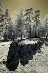 Tjelvar's Grave