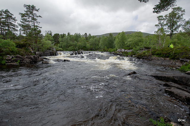 Glen Affric