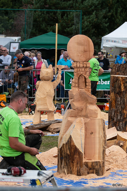 The Carrbridge World Chainsaw Carving Championship 2018