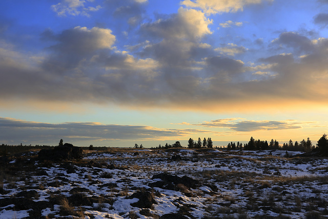 Eastern Washington Prairie