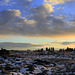 Eastern Washington Prairie