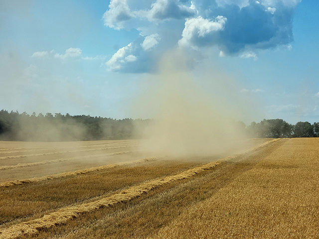 Staubtrocken