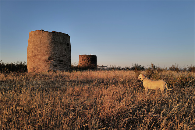 Penedos, Peiki and the Windmills