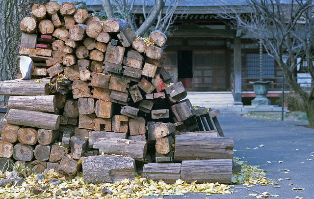 Scrap lumber once used in the dismantled temple