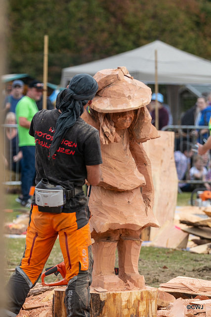 The Carrbridge World Chainsaw Carving Championship 2018