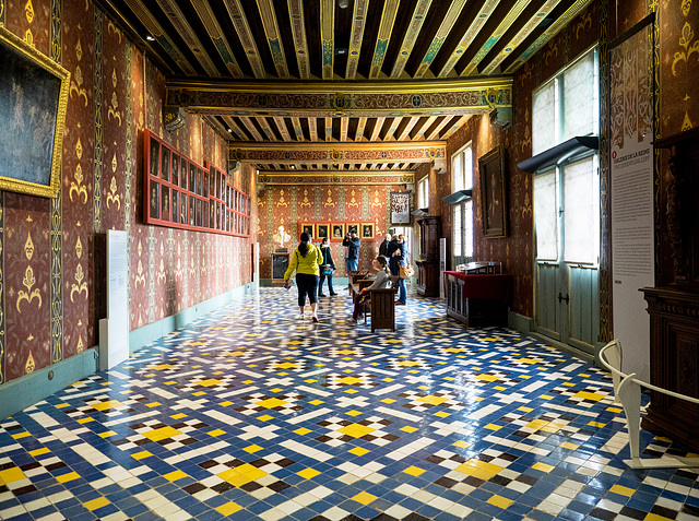 Châteaux de la Loire, Blois