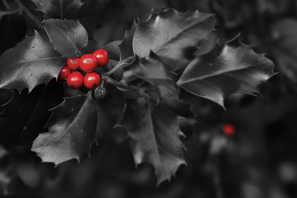 En rouge et noir.