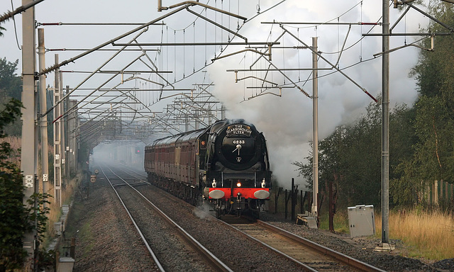 A black Duchess at Goostrey