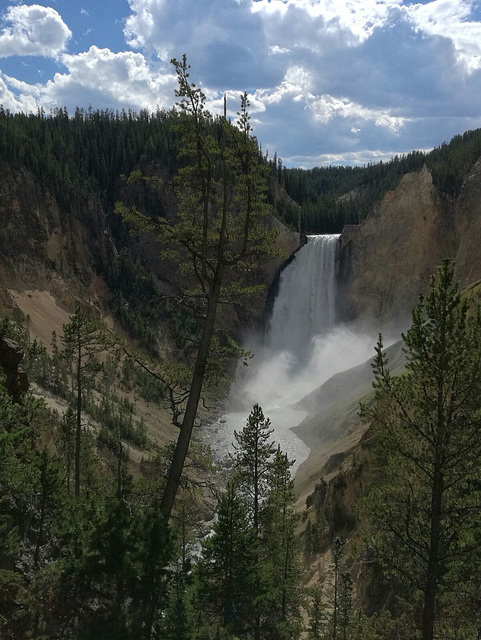 Grand Canyon di Yellowstone