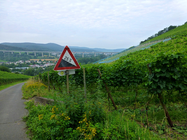 Blick zur Ahrtalbrücke