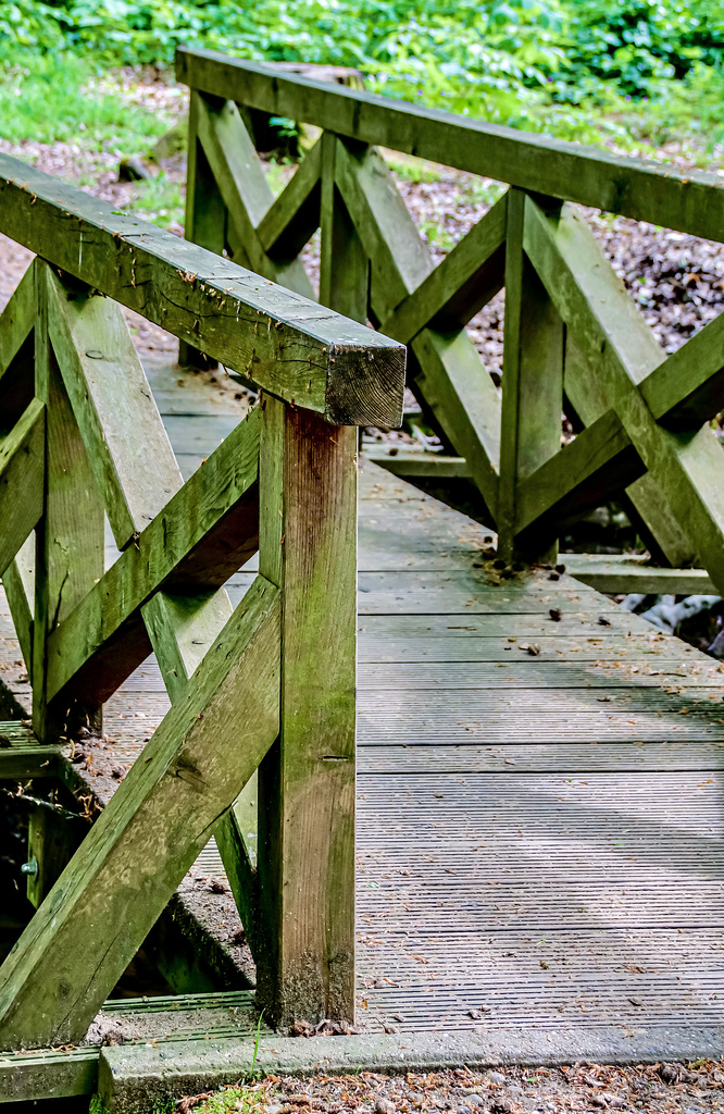 A Fence for Friday