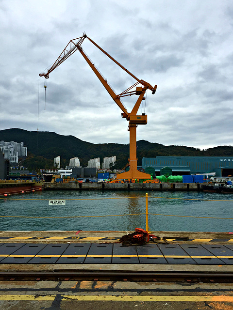 DSME heavy lift crane