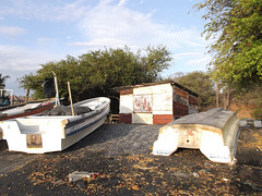 Barques & shack