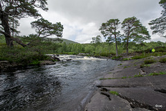 Glen Affric