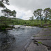 Glen Affric