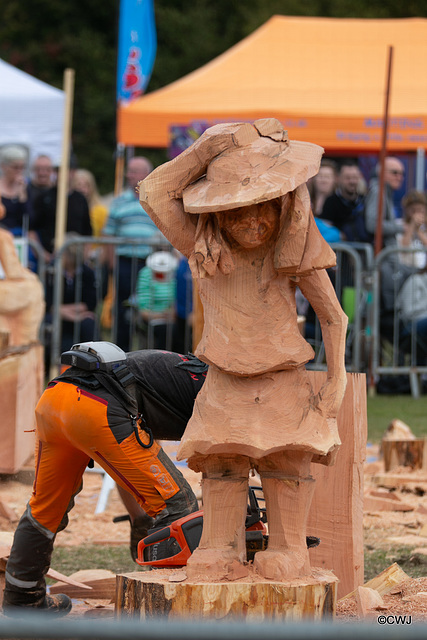 The Carrbridge World Chainsaw Carving Championship 2018