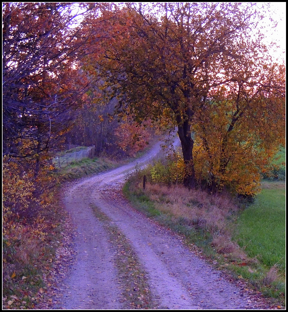 Autumn track