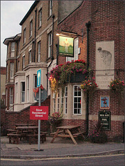 The Cricketers at Oxford
