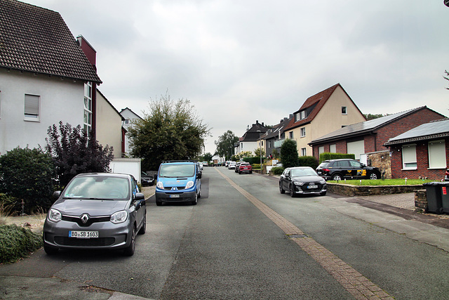 Am Geraden Weg (Bochum-Gerthe) / 3.08.2024