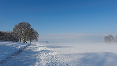 Winterwanderweg im Zürcher Unterland (© Buelipix)