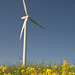 Eolienne en Beauce