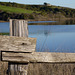 Tomales Bay Fence