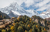 Manaslu & Lho Gompa II