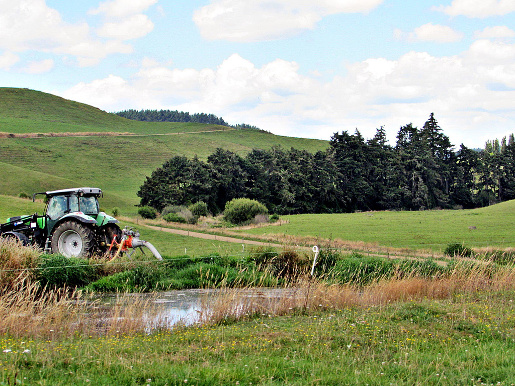 Farm Scene.