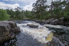 Glen Affric